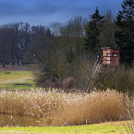 Tiny House Fleesensee Mit Eigenem Garten Und Nur Wenige Meter Vom Seeufer Göhren-Lebbin Esterno foto