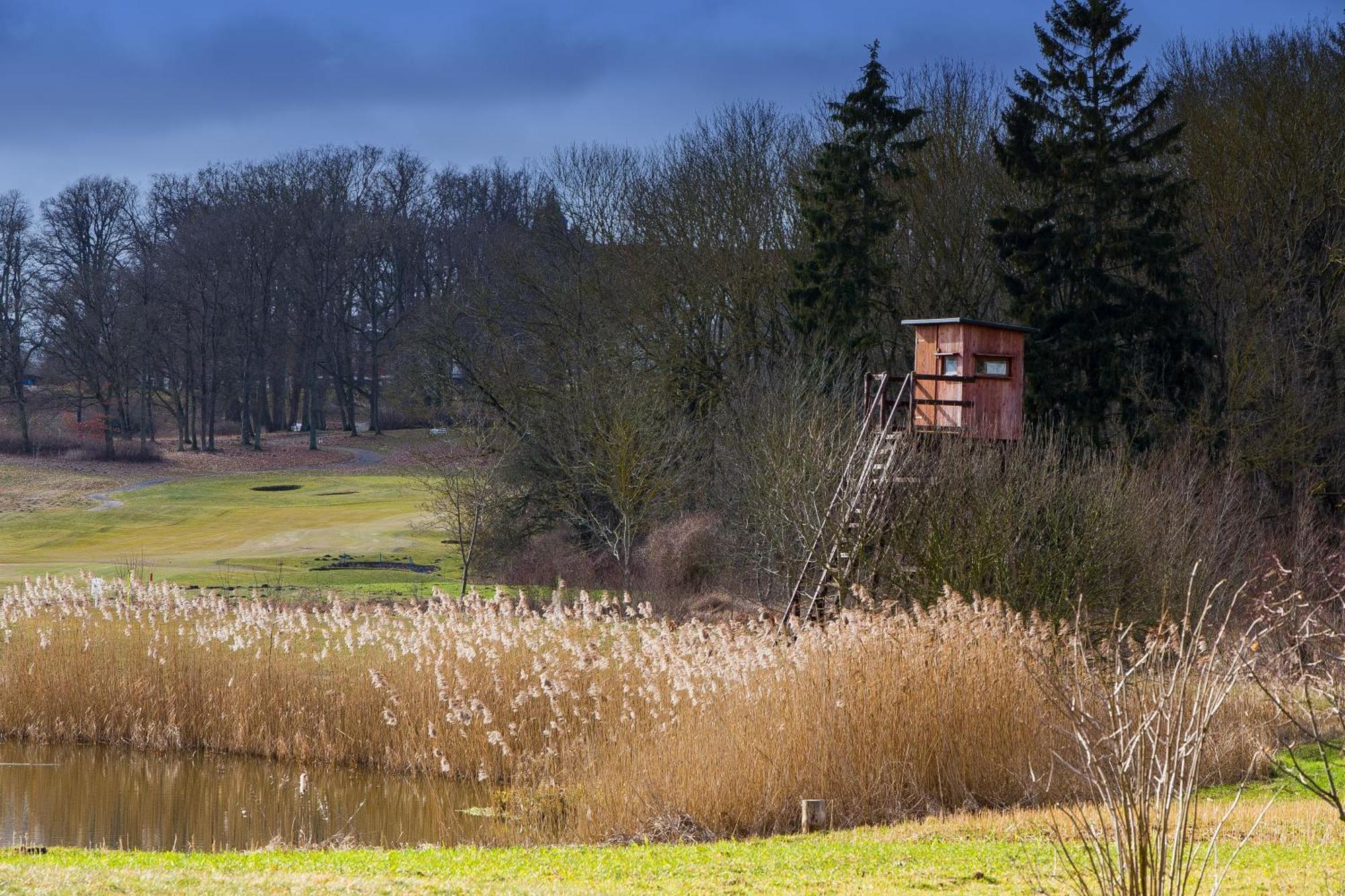 Tiny House Fleesensee Mit Eigenem Garten Und Nur Wenige Meter Vom Seeufer Göhren-Lebbin Esterno foto